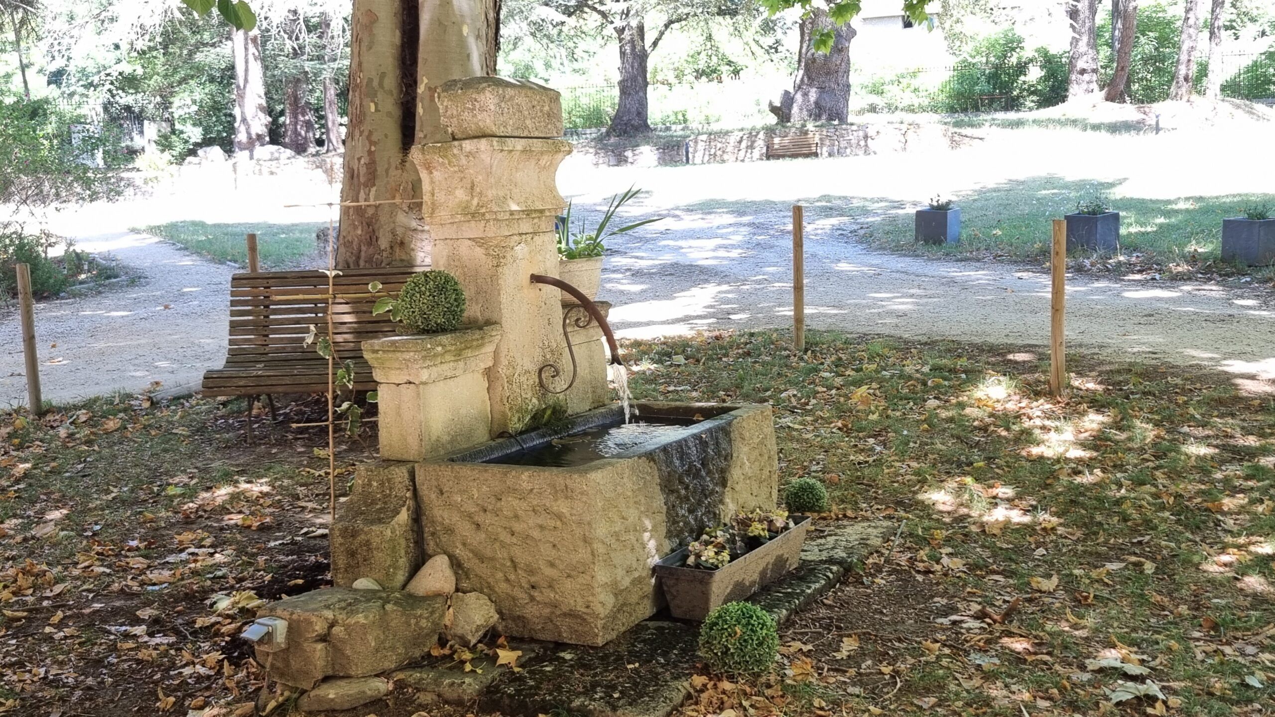 La fontaine